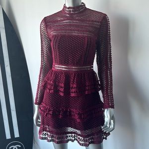 Gorgeous, deep bread, zipper back long sleeve vintage style lace dress